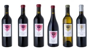 wine bottles on a white background