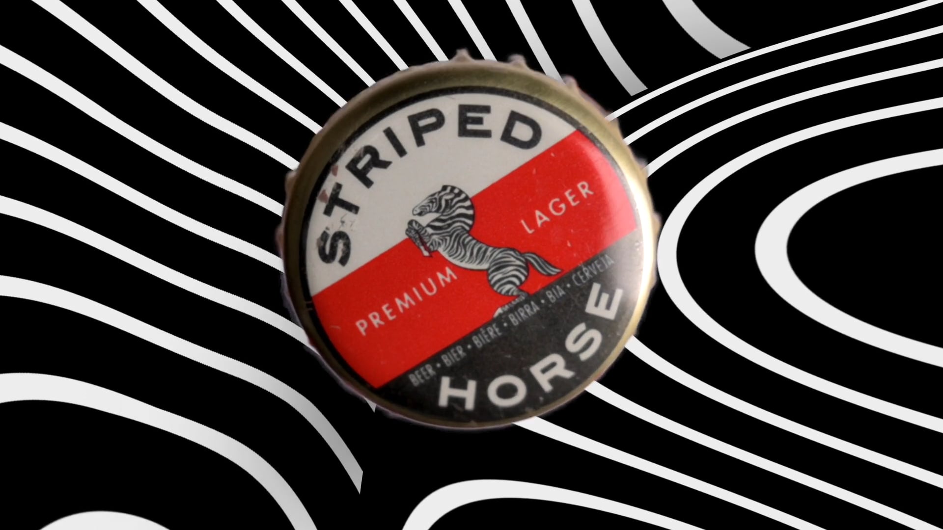 striped horse video